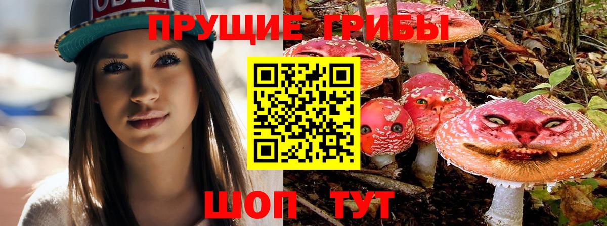 Псилоцибиновые грибы Cubensis Омск